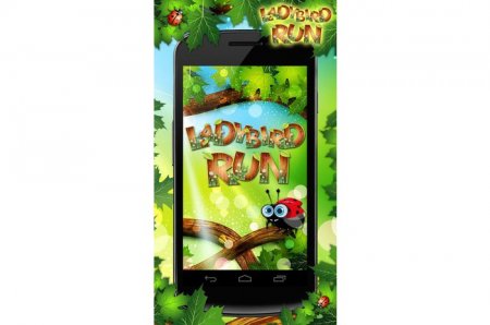 Ladybird Run 