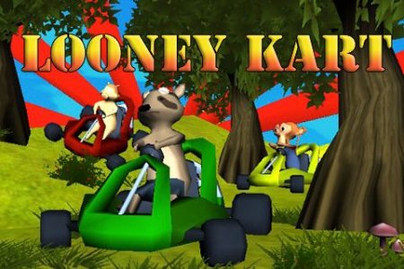 Looney kart (Сумасшедший картинг)