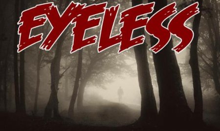 Eyeless: Horror game (:  )