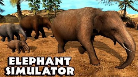 Elephant simulator ( )