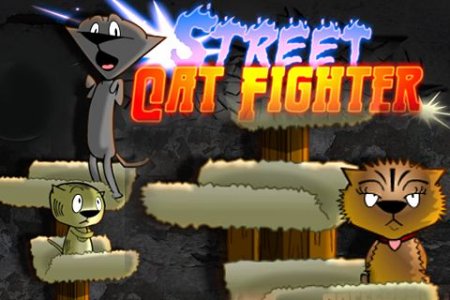 Street cat fighter (  )