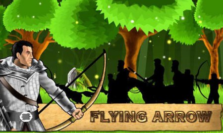  Flying arrow ( )