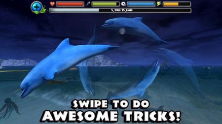 Dolphin simulator (Симулятор дельфина)