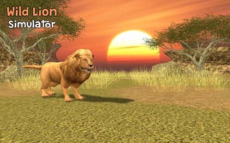  Wild lion simulator 3D (  ) 