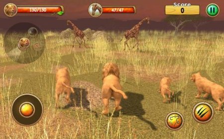  Wild lion simulator 3D (  ) 