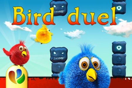 Bird duel (Птичья дуэль)